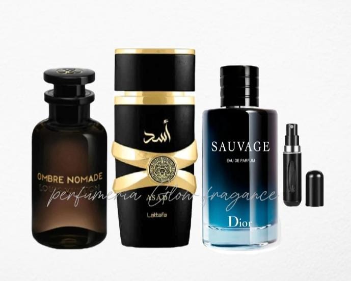 PROMO - 206 CABALLERO X3